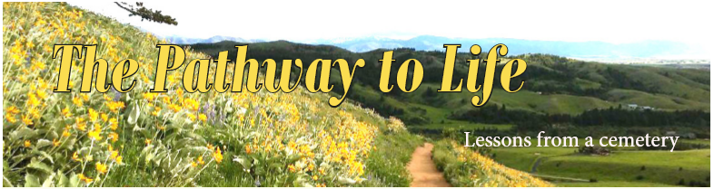 Field of yellow flowers with “The Pathway to Life” text graphics