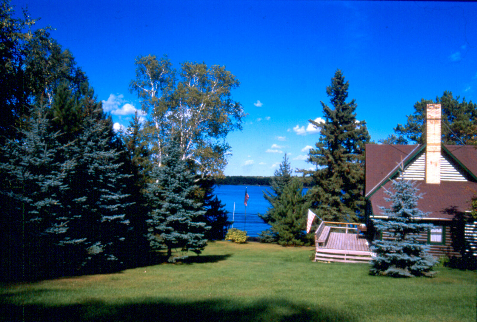 A peaceful lakeside scene with trees, a grassy lawn, and a wooden swing bench. A peaceful lakeside scene with trees, a grassy lawn, and a wooden swing bench.