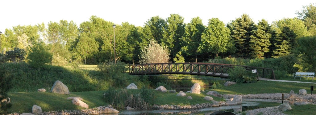 Wooden bridge in the middle of a field of trees