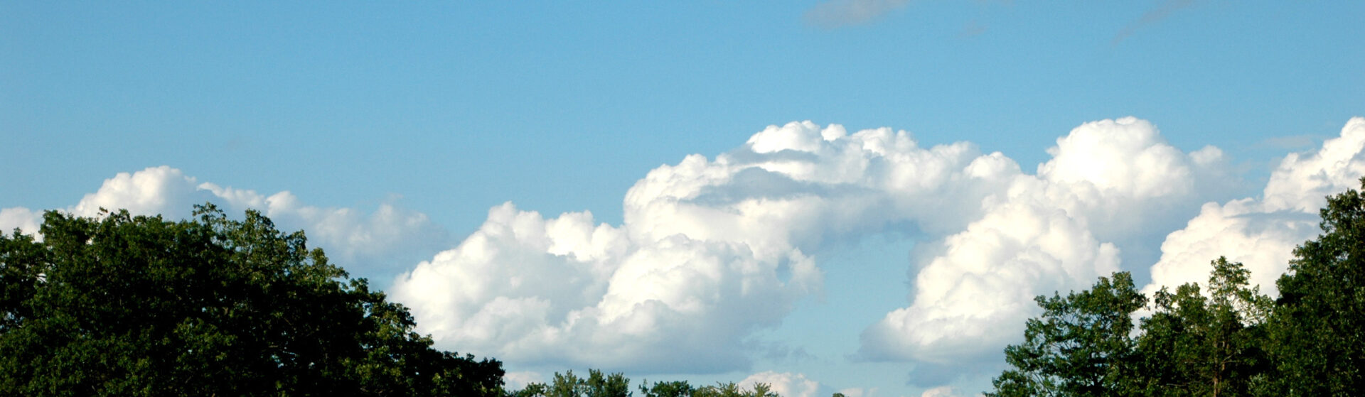 Blue sky with fluffy clouds and the top of green foliage