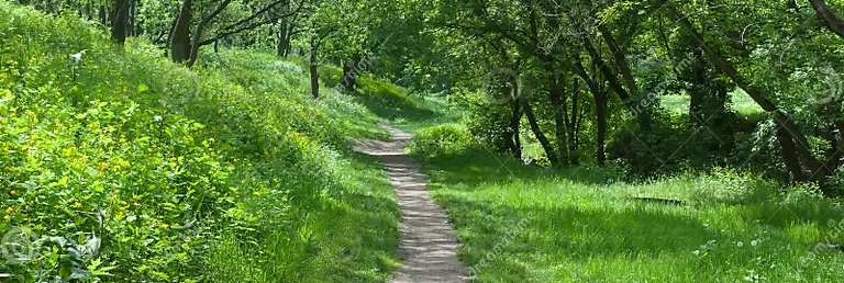 path narrow